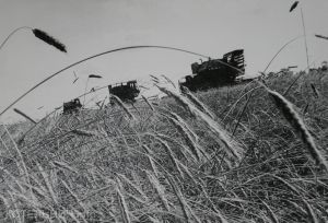 Котельнич: годы и люди