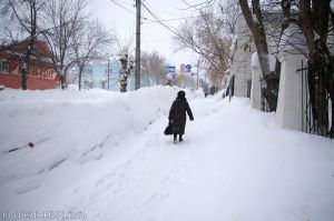 Февраль начнется с оттепели