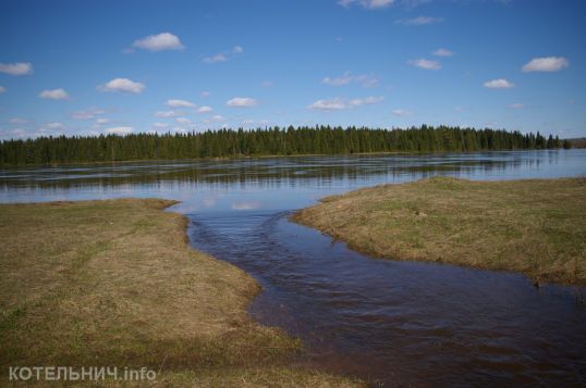 Блог спасского аборигена. Меняем мир к лучшему
