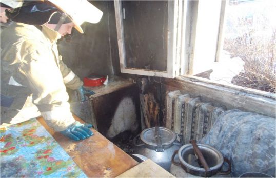 Пожар в Карпушино