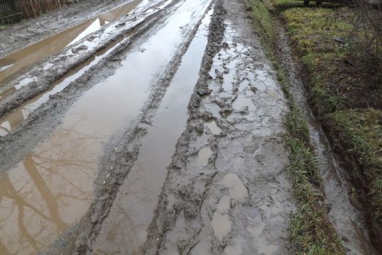 Где дорога?