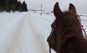 В Котельничском районе реализуют пять проектов местных инициатив