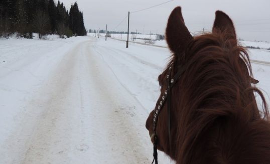 В Котельничском районе реализуют пять проектов местных инициатив
