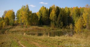 Палитра осени