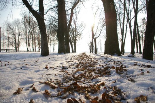 Предзимье и дожди