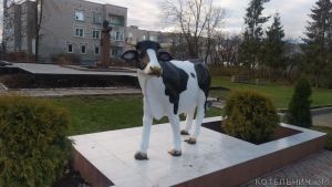 Место, где все фотографируются