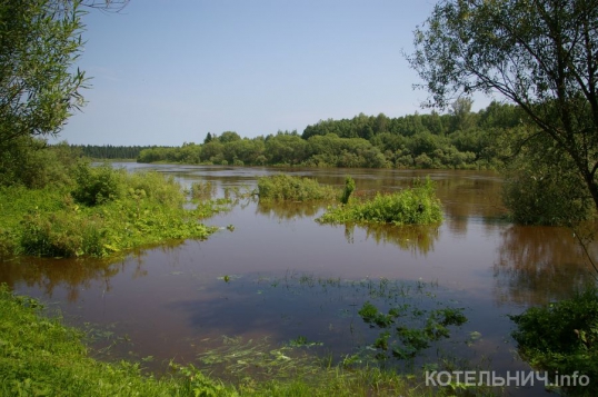 Половодье на Моломе