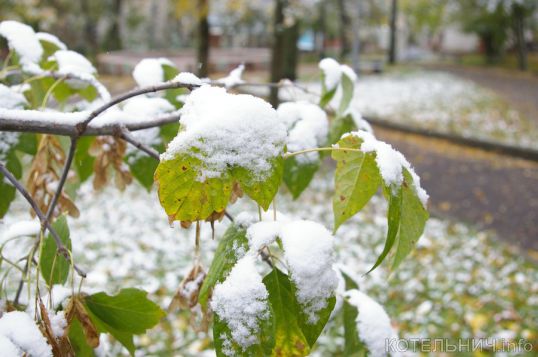 Зима осторожно подкралась и белой порошею...