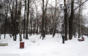 Горсад побелел