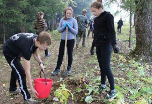 Акция &laquo;Дерево Герою&raquo;