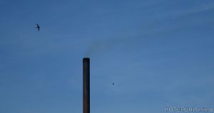 Котельнич сегодня