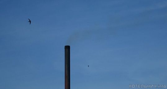 Котельнич сегодня