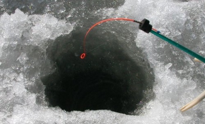 Ловись рыбка большая и очень большая