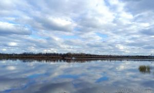 Началось падение уровня воды в Вятке около Котельнича