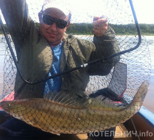 Судак - тяжеловес