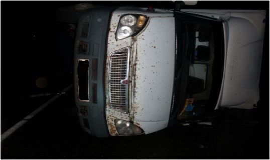 Опрокинулась "Газель" с бананами