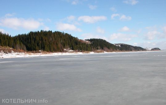 Чайки прилетели