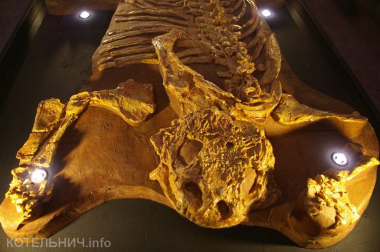 Придумай стишок про парейазавра и получи приз