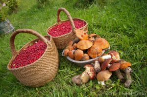 Котельнич сегодня