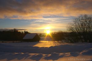 Несвоевременные проводы