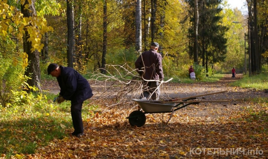 Сегодня в городском саду