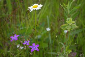 Сезон дождей закончился