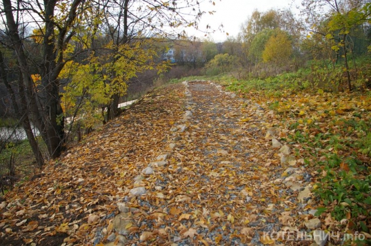 Приборка в Динопарке