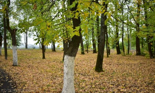 В Котельниче осень