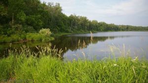 #лучшедома Смотрим фоточки