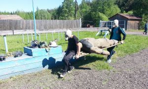 Соревнования юных спасателей