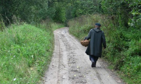 Котельничские полицейские разыскали мужчину, заблудившегося в лесу