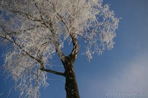 Котельнич сегодня