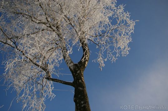 Котельнич сегодня