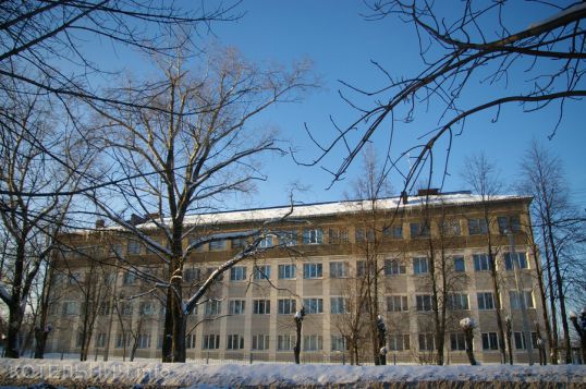 &laquo;Меломану&raquo; дали полтора года