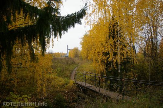 Неутешительные выводы