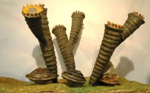 Приходите посмотреть на обитателей древних морей