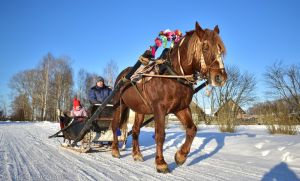 В Юбилейном приглашают на катания на лошадях