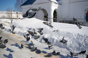 Весна придет всерьез и надолго