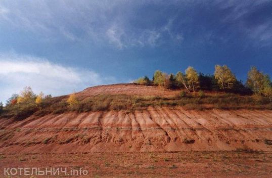 Котельнич посетят участники международного палеонтологического конгресса