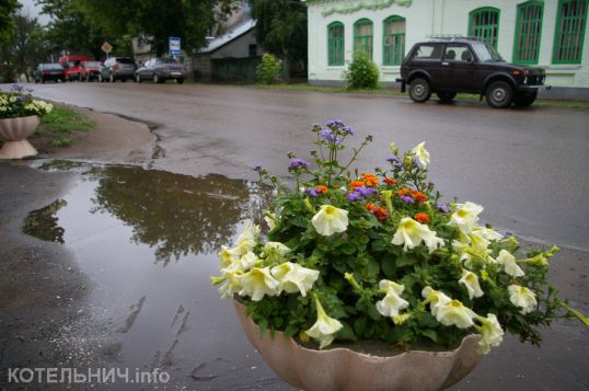 С неба валятся грибы