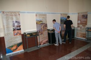 Пассажиры РЖД узнают про котельничских парейазавров