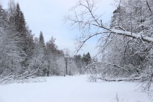 «Нургуш» приглашает на лыжные и нордик-прогулки