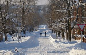 Контрасты матушки зимы