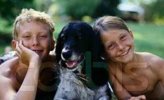 Клуб любителей собак приглашает!