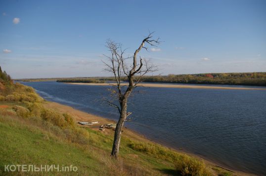 Голосовали, но так и не выиграли