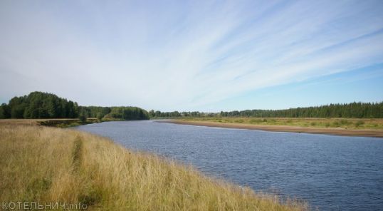 Кто испортил лето...