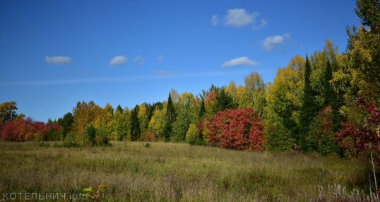 Наслаждаемся последним днем бабьего лета