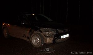 В ДТП страдают люди, машины и звери