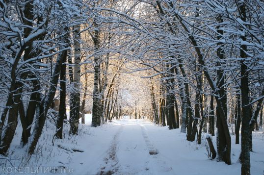 Ждем грачей