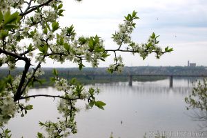 «Экономные» выходные